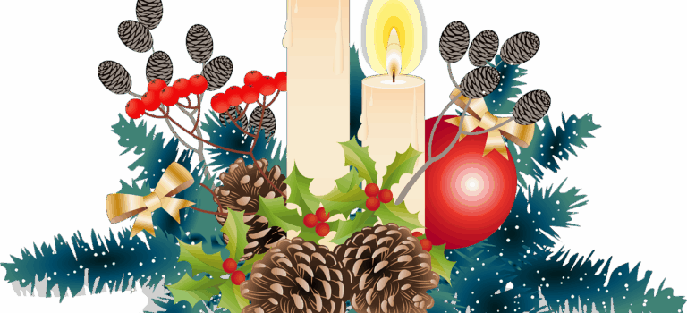 Verkauf Weihnachtsgeflügel